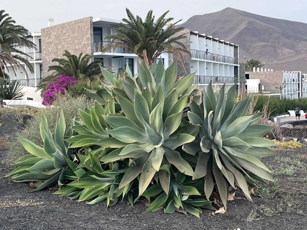 Villa Ariana - Playa Blanca Playa Blanca (Lanzarote) Exterior foto